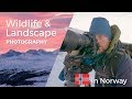 WILDLIFE and LANDSCAPE PHOTOGRAPHY in NORWAY | Behind the senes