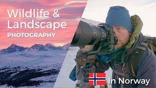 WILDLIFE and LANDSCAPE PHOTOGRAPHY in NORWAY | Behind the senes