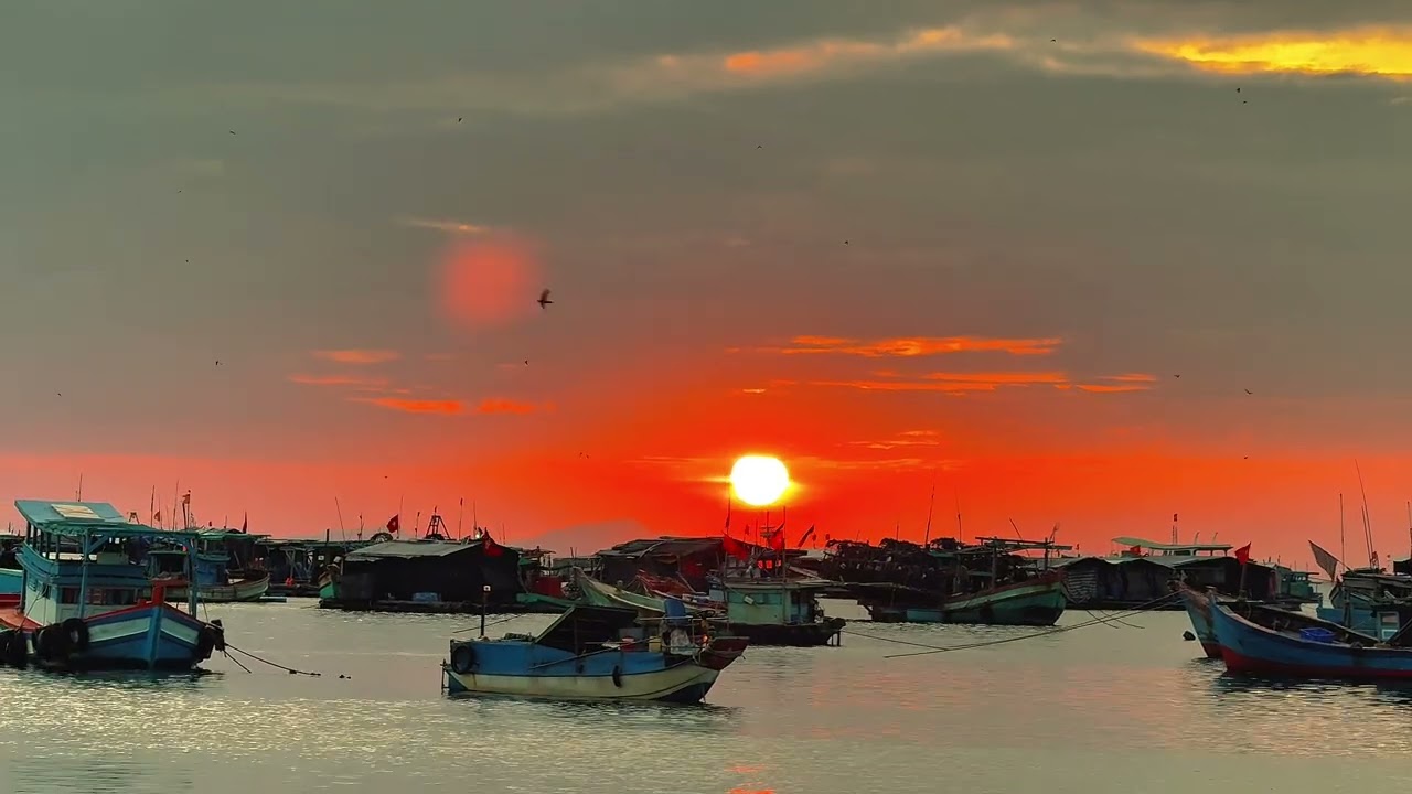 𝐓𝐡𝐚̂́𝐲 Đ𝐮̛𝐨̛̣𝐜 𝐌𝐚̣̆𝐭 𝐓𝐫𝐨̛̀𝐢 𝐋𝐚̀ 𝐕𝐮𝐢 𝐑𝐨̂̀𝐢 