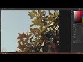 How i edit film scans in photoshop