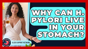 Why Can H. Pylori Live In Your Stomach? - Ulcer Support Network
