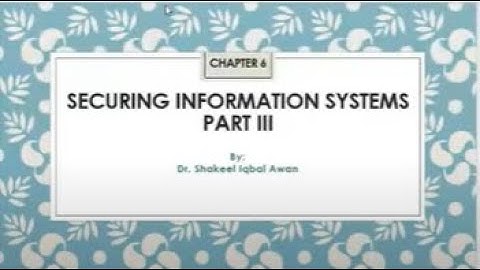 MIS - Securing Information Systems