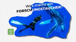 Tauchen für die Wissenschaft in Zeiten des Klimawandels?