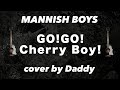 GO!GO!Cherry Boy!/MANNISH BOYS 弾き語りカバー by Daddy