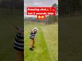 Amazing shot⛳️..but 5 seconds later 😉😂 #golf #golftips #golfing #sports #shorts