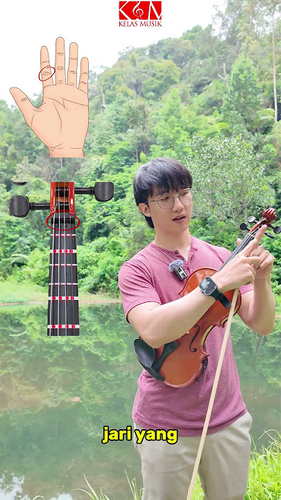 Main Biola Susah? | Ini Patokannya! 🎻