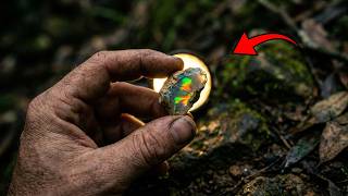 Useless-looking limestone rocks: cut rocks contain opals valued at $50,000