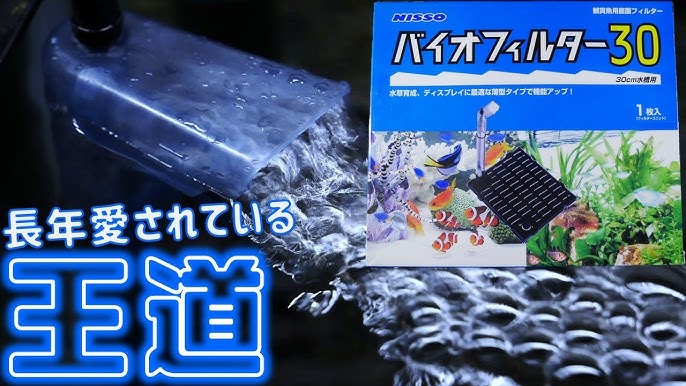 初めてのアクアリウム 底面フィルターの使い方 ニッソーバイオフィルター Part7 初心者 Youtube 初めてのアクアリウム 底面フィルターの使い方 ニッソーバイオフィルター Part7 初心者 Youtube