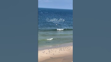 وفي أنفسكم افلا تبصرون 🌼🌸 إسلام صبحي 🌸 #قران_كريم #تلاوات #تلاوة_خاشعة #قرآن #اسلام_صبحي