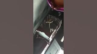 cucak jenggot vs kerak basi ramai... mana yang menang