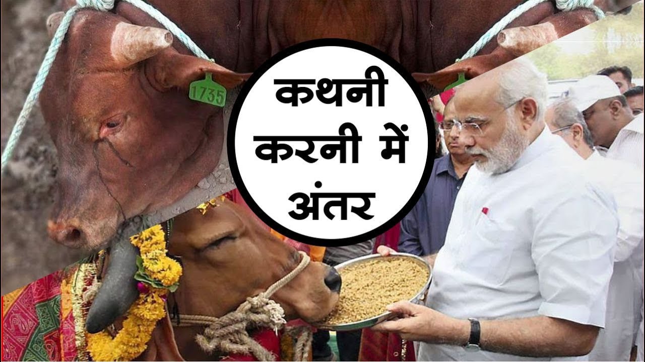 Pink Revolution Under BJP Government | Talented India News