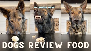 Dog Reviews Different Foods