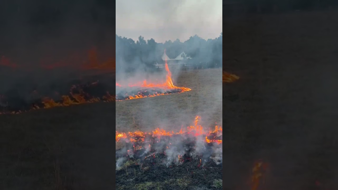 Burning our fields. 🔥🔥🔥
