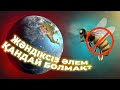 ЖЕРДЕГІ БАРЛЫҚ ЖӘНДІКТЕР ЖОЙЫЛЫП КЕТСЕ НЕ БОЛАДЫ? |АРАНЫҢ ПАЙДАСЫ ҚАНДАЙ?