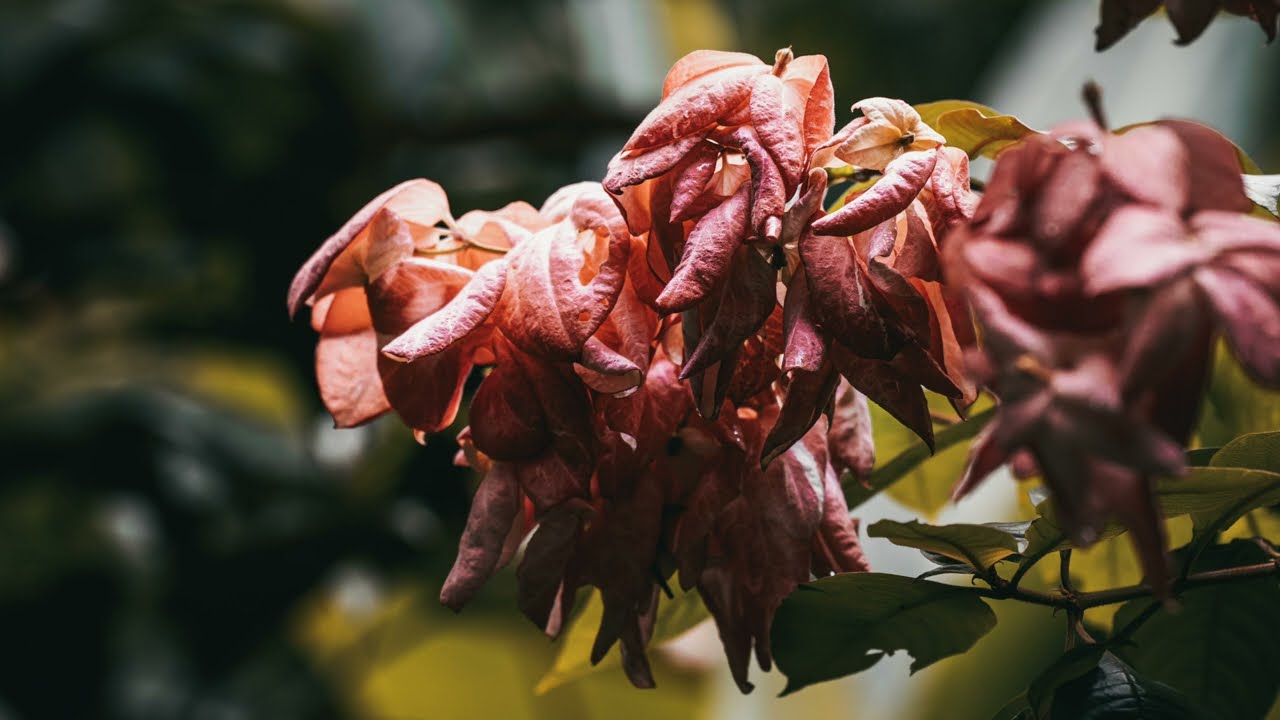My Photography Samples - Majestic Nature