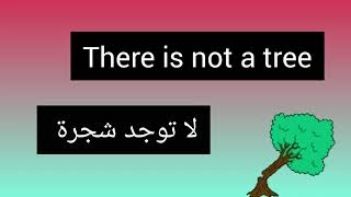 شرح There is _There are