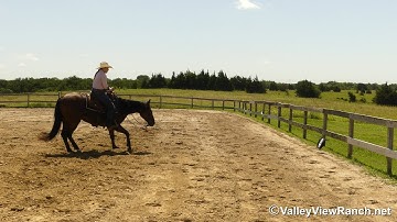 Diamonds R Foreyver - work the flag, walk, trot, lope, stops! - ValleyViewRanch.net