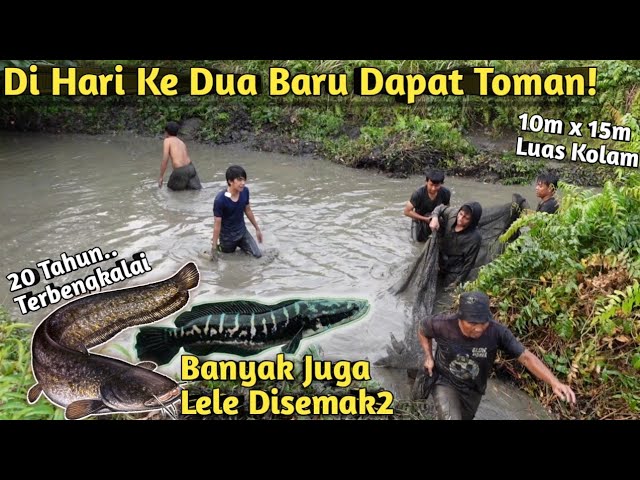 BENERAN NEKAT!! KURAS KOLAM TERBENGKALAI PULUHAN TAHUN SAMPE DUA HARI class=