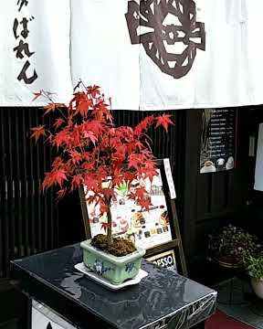 Si NYINYIR Sherly Malinton pada Marissa Haque Ikang Fawzi(1)