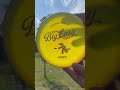 #flightfactory #flyingdisc #mvpdiscsports #discgolf #frisbeesport #trashpanda