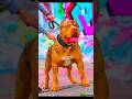 Pitbull edit smooth 🥶 tutorial #viral #shorts #trending #pitbull #edit #tutorial #dogshorts