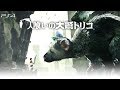 PS4【人喰いの大鷲トリコ】クリアまで の動画、YouTube動画。