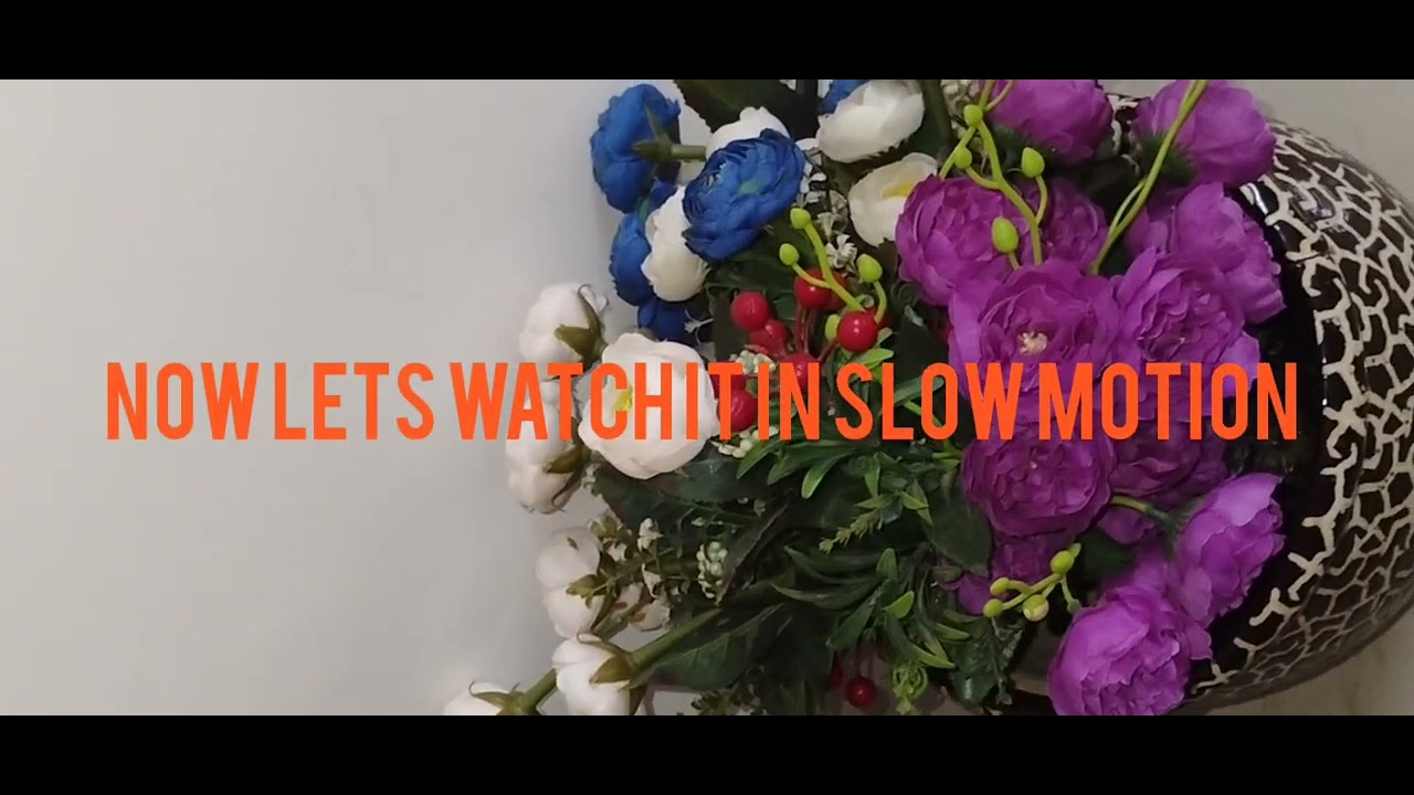 We have done a domino speed wall ways