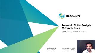Transonic Flutter Analysis of AGARD 445.6 - Hexagon India