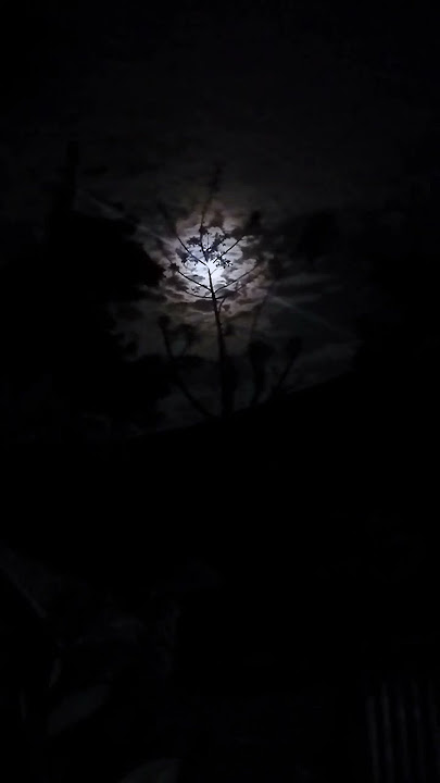 langit malam