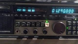 Rádio Brasil Sul, Londrina, Paraná