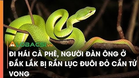 Đi hái cà phê, người đàn ông ở Đắk Lắk bị rắn lục đuôi đỏ cắn t.ử v.o.n.g