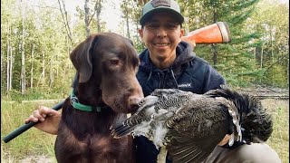 Best spruce grouse recipe! (Catch&cook)