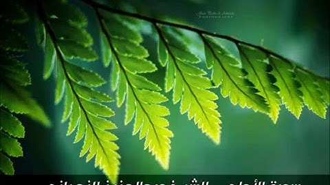 سورة الأعلى - تلاوة خاشعة للشيخ عبد العزيز الزهراني