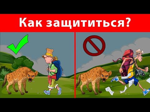 10 Советов, как пережить нападение диких животных