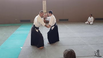 Traditional Aikido Europe - IKKYO NIKKYO SANKYO - Lewis Bernaldo de Quiros