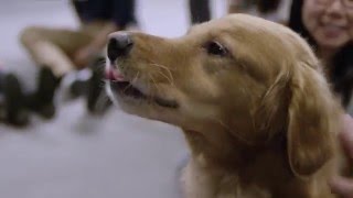 CS50 Hackathon 2015 - The Feeding