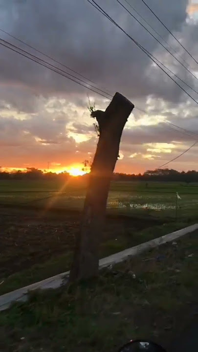 mentahan senja#senja #shorts