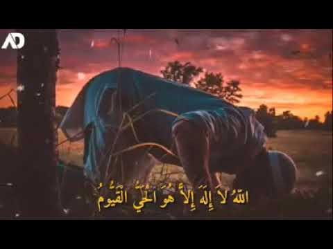 احمد محمد فايز الاسد