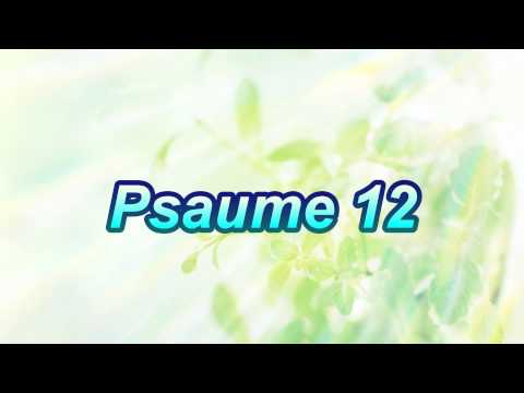 Psaume 12