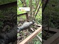 Tời è xuống #anhthovuitinh #xuhuongyoutube