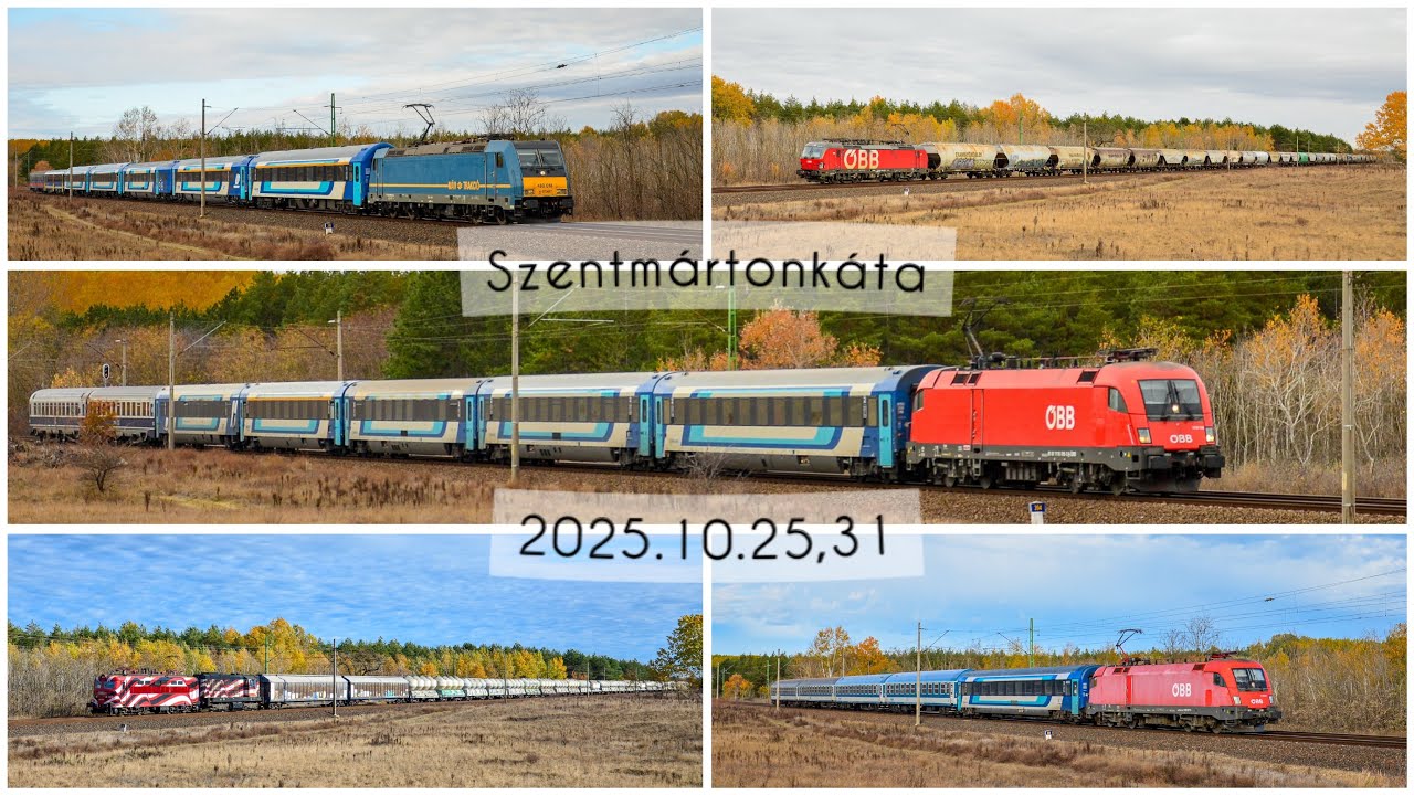 Vonatok Szentmártonkáta környékén/ Züge rund um Szentmártonkáta/ 4K/ 2025