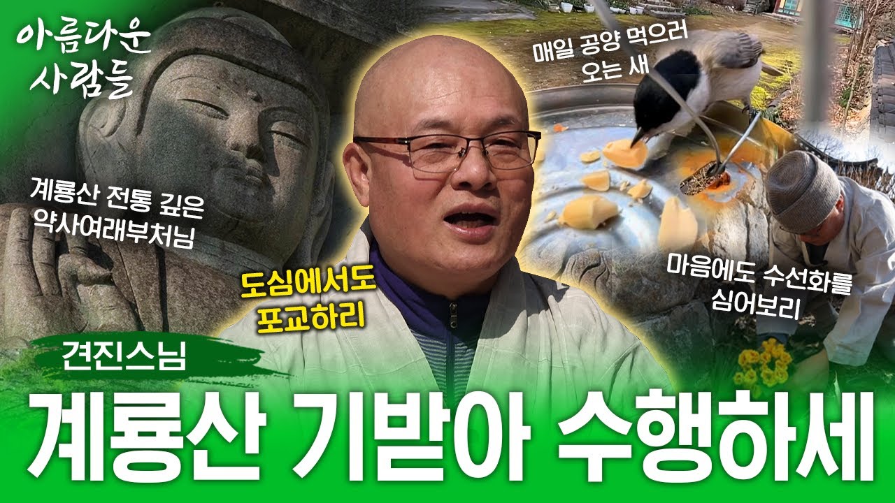 역사와 전통 깊은 계룡산에서 새를 도반삼아 수행하는 견진스님 이야기! 계룡산 고왕암 |아름다운 사람들 26화 #견진스님