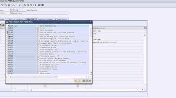SAP-Database View