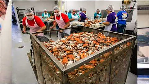 Impact of H-2B visa cap on seasonal employers