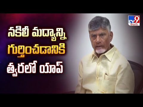 నకిలీ మద్యాన్ని గుర్తించడానికి త్వరలో యాప్ : CM Chandrababu - TV9 - TV9