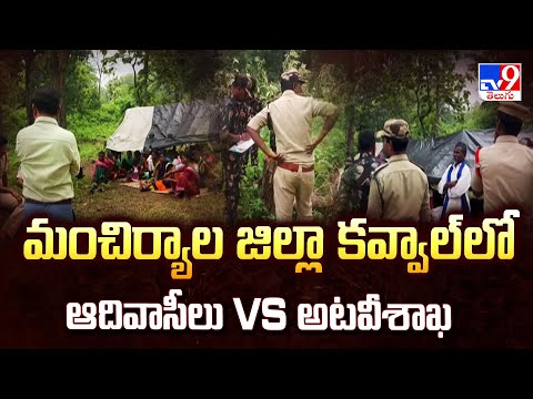 Mancherial : మంచిర్యాల జిల్లా కవ్వాల్ లో ఆదివాసీలు Vs అటవీశాఖ - TV9 - TV9