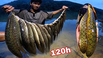 Quá Khủng Kiếp Thả 100 Lưỡi Câu Mà Loại Cá Này Ăn Không Gỡ Nổi | 72H Ngủ Trên Hồ Thủy điện ĐN5