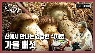 [한국인의밥상★풀버전] 예로부터는 왕실의 건강을 돌보는 역할로 쓰였고 때로는 약으로, 때로는 건강한 식재료 “밥상위의 보약, 가을 버섯” (KBS 20130919 방송)