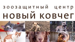 ИМ НУЖНА ТВОЯ ПОМОЩЬ || НОВЫЙ КОВЧЕГ || КАЛУЖСКАЯ ОБЛАСТЬ || ОБНИНСК ИМ НУЖНА ТВОЯ ПОМОЩЬ || НОВЫЙ КОВЧЕГ || КАЛУЖСКАЯ ОБЛАСТЬ || ОБНИНСК