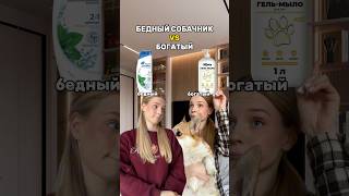 БОГАТЫЕ ПРОТИВ БЕДНЫХ СОБАЧНИКОВ🐶WB: 166791360 - мыло #собачники #собачникипоймут #шампунь #корги